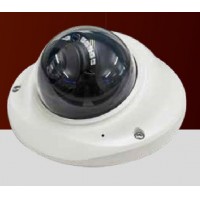 IP Network Camera: Indoor Mini Dome